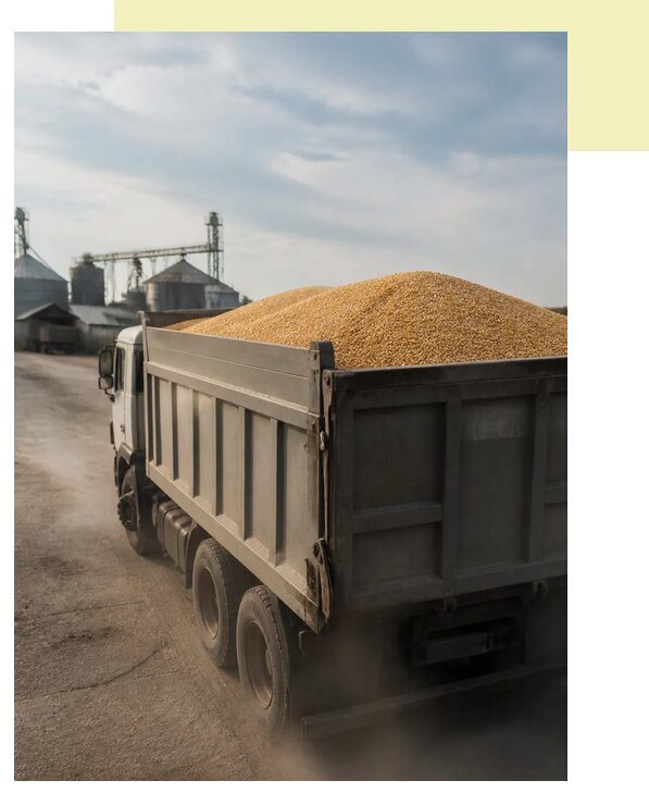 Перевозка сельхозпродукции навалом в Углич по цене от 3126 р. | Агросервис-Глч
