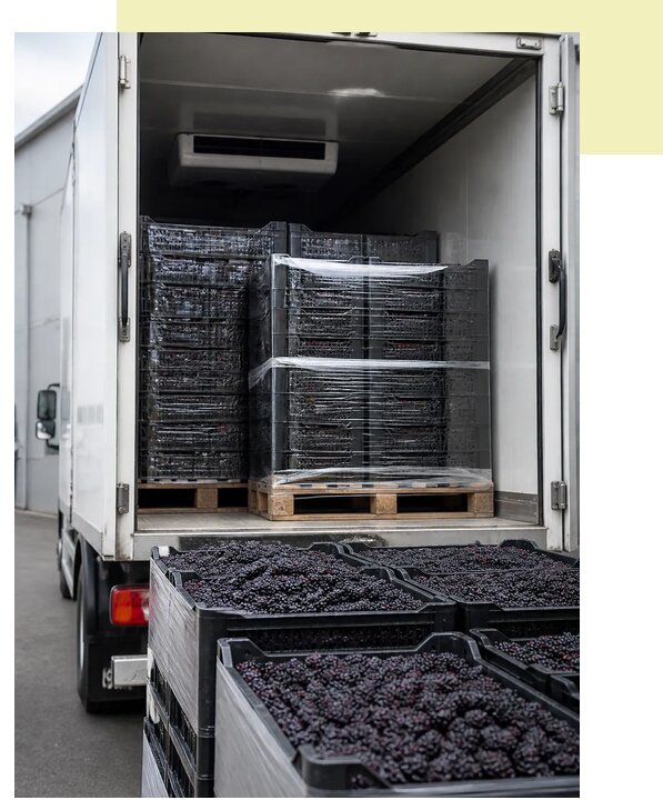 Перевозка ежевики автотранспортом в Углич — от 5210 р. | Агросервис-Глч